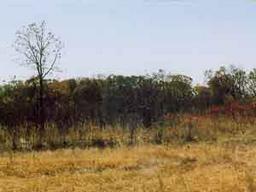 Lt4 Piper Rd., Eagle, WI 53153