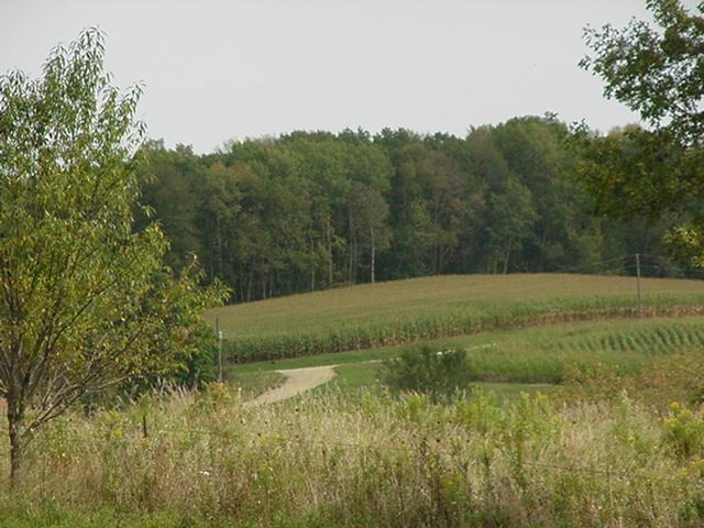 RR Fortney Rd., Franklin, WI 54665