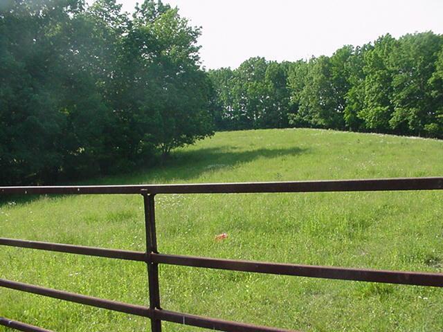 RR Highway 56, Liberty, WI 54664