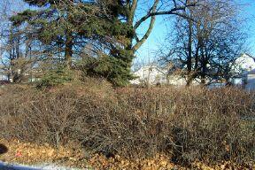 2045 West Blvd., Racine, WI 53403