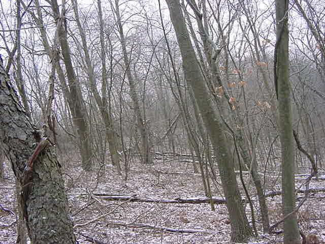 Aspen Ridge Rd., Wheatland, WI 54621