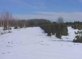 Lot 1 Frontage Rd., Holland, WI 53070