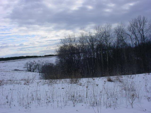 LT33 County Road Ss, Liberty, WI 54664