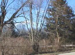 Walnut & Hemlock, Bloomfield, WI 53157