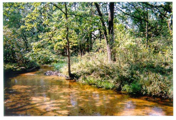 [Address Hidden by Seller], Easton, WI 53910