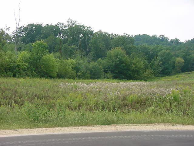 LT16 Ridgeview Estate, Gale, WI 54630