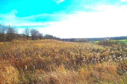 W2593 Zion Church Rd., Williamstown, WI 53050
