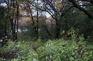 Lt1 Eagles Aire North, Eagle, WI 53119