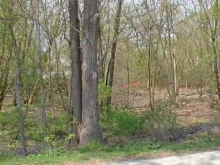 Lt11 212th Ave., Bristol, WI 53105