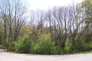 Fischer/moccasin, Burlington, WI 53105