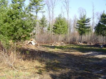 Highway 12, Brockway, WI 54615