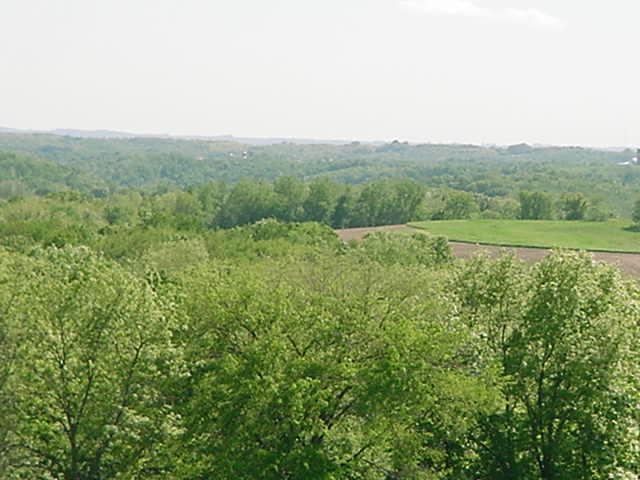 E3004 Hayden Rd., Sterling, WI 54624