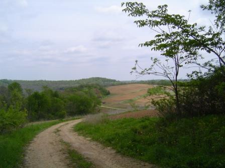Peak Rd., Wauzeka, WI 53821