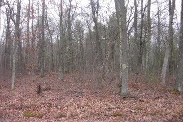 Oak Rd., Fairchild, WI 54741