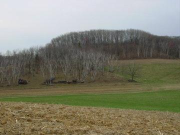 LTM Infield Rd., Sparta, WI 54656