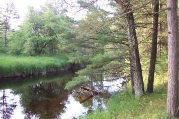 LT7 Evergreen Cove, Merrillan, WI 54754