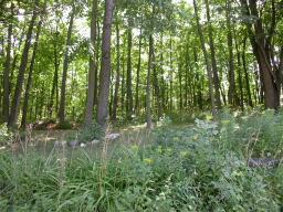 13860 W Bluemound Rd., Elm Grove, WI 53122