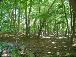 585 Meadow Ln, Elm Grove, WI 53122
