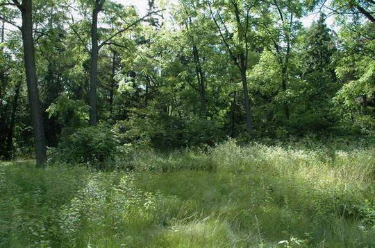 850 Fox Creek Ct., Elm Grove, WI 53122