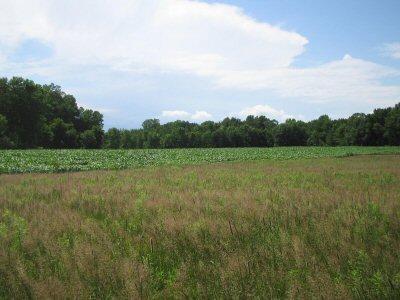 St. Finbars Rd., Saukville, WI 53080