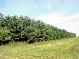 Lt2 Csm 3827 Weaver Rd., Geneva, WI 53121