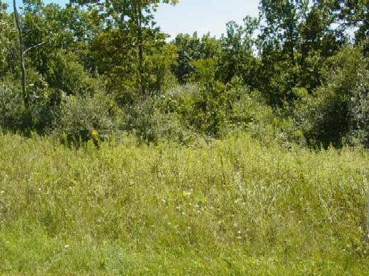 Ridgeview Ln., Sylvan, WI 54664