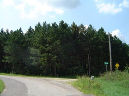 Aaron Ave., Little Falls, WI 54656