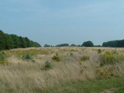 Lt 2 Cty Rd Ls, Newton, WI 53063