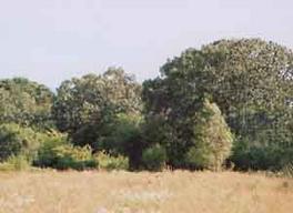 Lt4 Piper Rd., Eagle, WI 53153