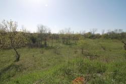 11733 W Heather Dr., Milwaukee, WI 53224