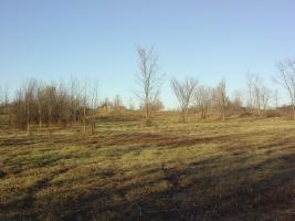 8632 N 117th St., Milwaukee, WI 53224