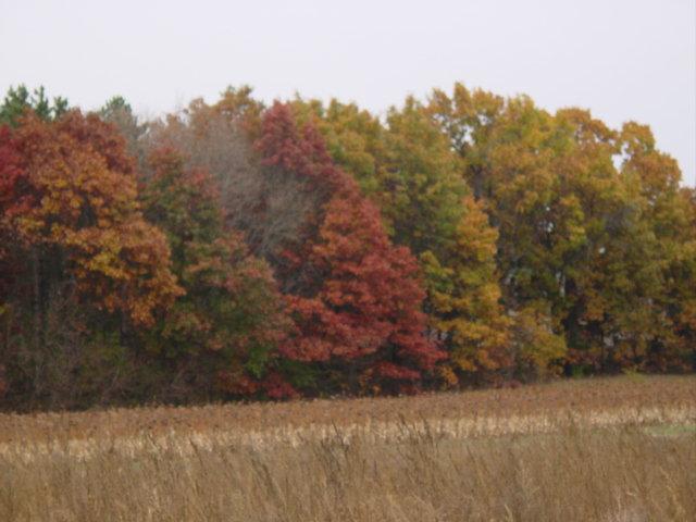 LT1 Jackpot Ave., Leon, WI 54656