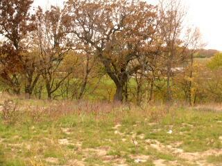 [Address Hidden by Seller], Waukesha, WI 53188