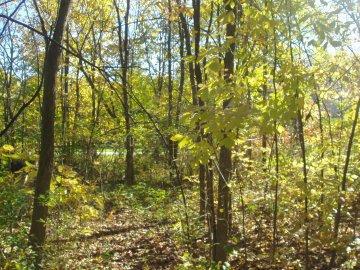 Lt0 W Bonnie Ln, Lisbon, WI 53089