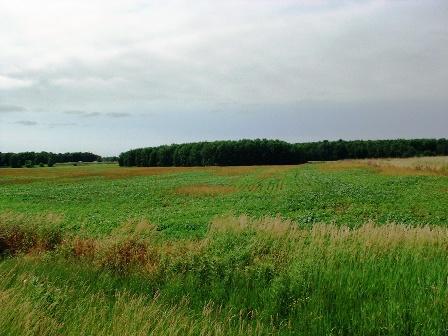 35 acres E Hillcrest Rd., Two Rivers, WI 54241