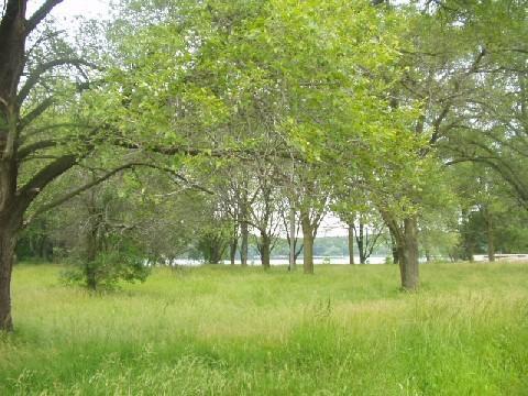 Lt5 Rock Lake, Salem, WI 53179