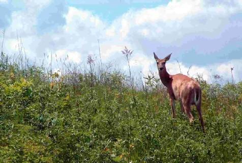 LOT 9 Oneota Ridge, La Crosse, WI 54601