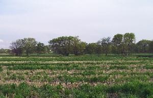 N51W25531 Lisbon Rd #Lt3, Lisbon, WI 53072