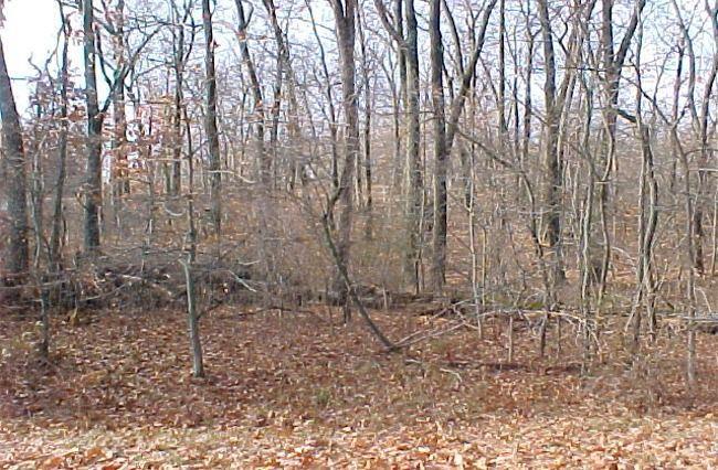 11196 Violet Rd Lots, Geneva, WI 53147