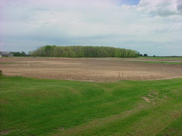 Tract 1.2 S. Union Rd., Newton, WI 54220