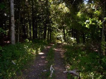 L8 Decker Rd., Franklin, WI 54230