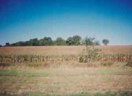 State Road 67, Ashippun, WI 53066
