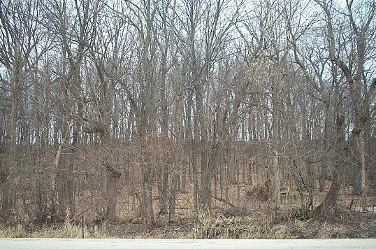 Lt1 Scofield Rd., Lebanon, WI 53098