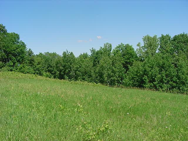 Dudley Hill Rd., Harmony, WI 54665