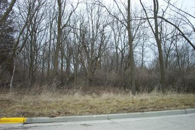 Lt2 E Chicago St., Whitewater, WI 53190