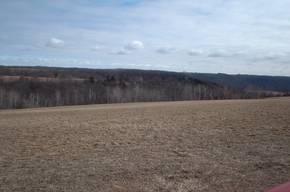 S6222 Pea Vine, Liberty, WI 54665