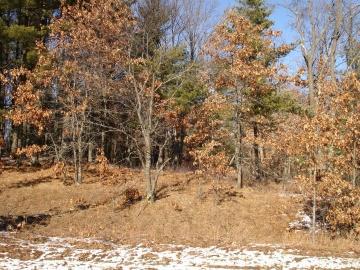 Oak Ridge Rd., Manchester, WI 54615