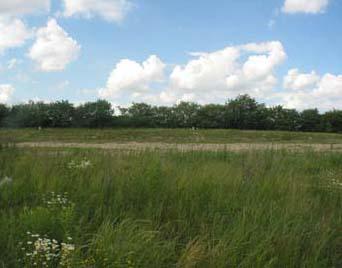 Lt54 Arbor Hill Dr., Mount Pleasant, WI 53406