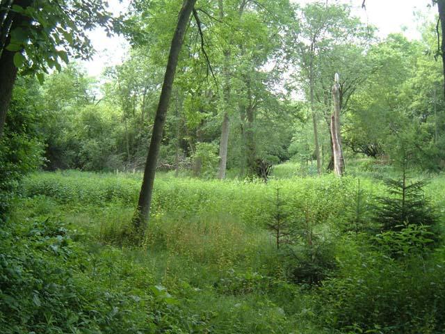 Lt1B Lang Rd., Oconomowoc, WI 53066