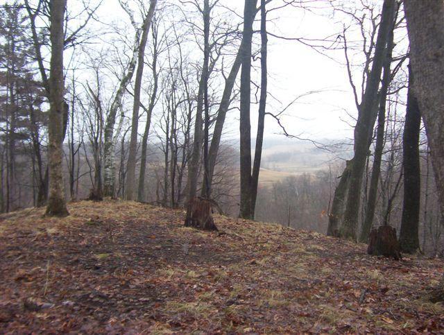 Norway Ave. #LOT 7, Glendale, WI 54638